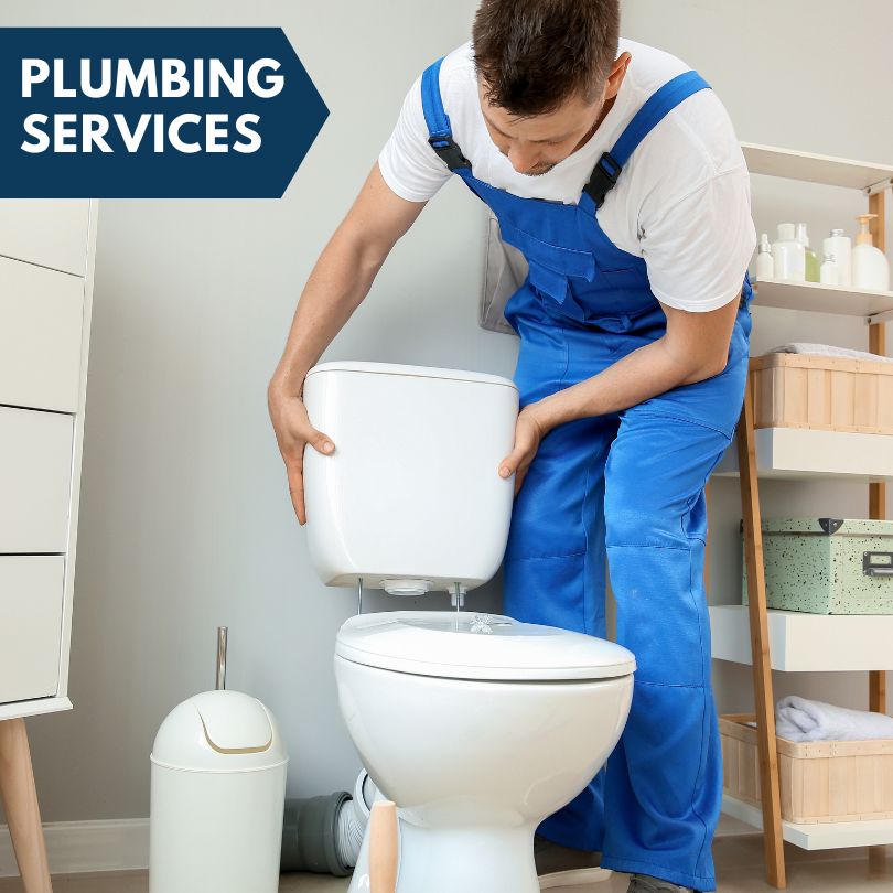 Plumbing Company in Palos Heights, IL